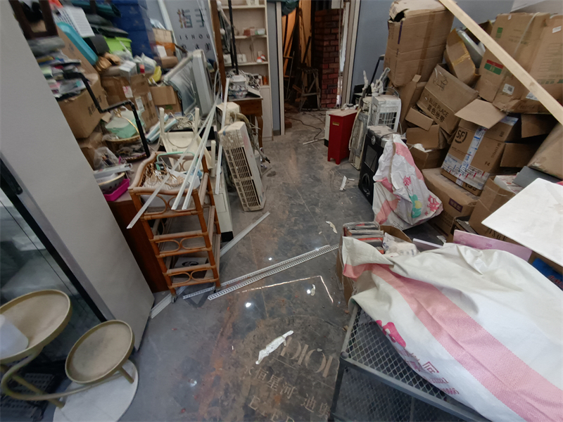 IMG_20241203_120652.jpg