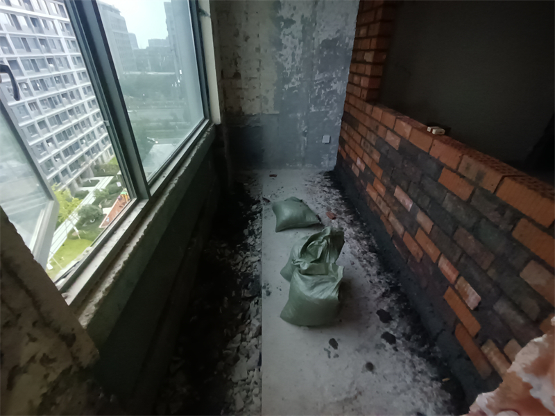 IMG_20241203_170502.jpg