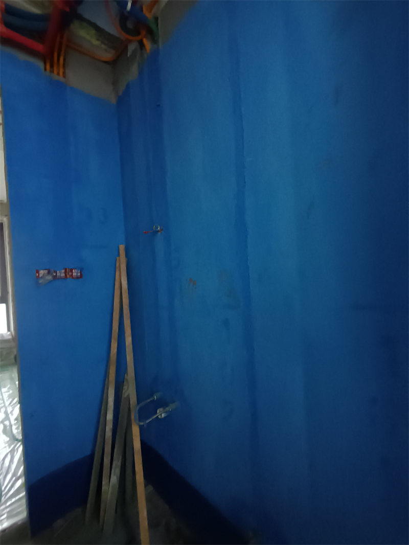 IMG_20241206_094256.jpg