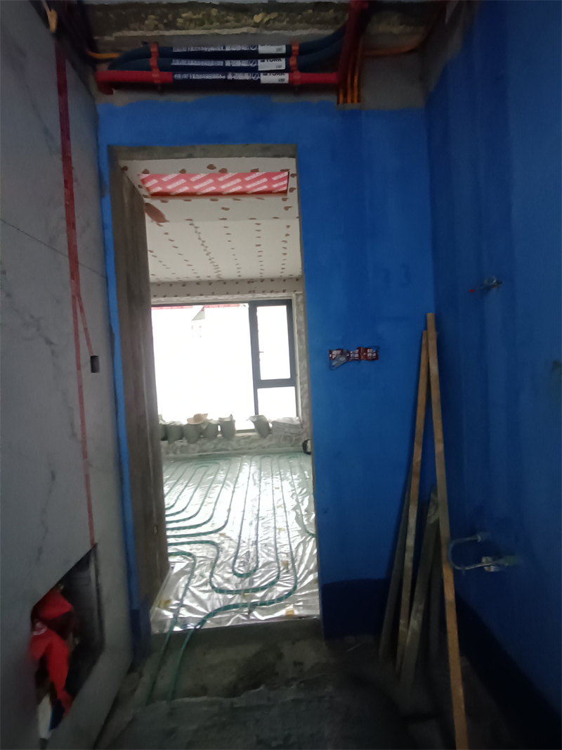 IMG_20241206_094254.jpg