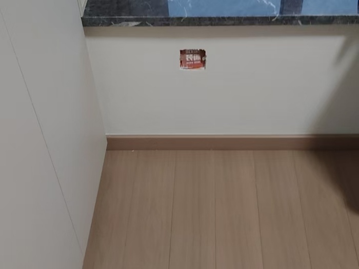 mmexport1733480564650.jpg