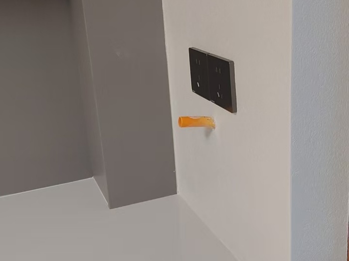 mmexport1733480552705.jpg