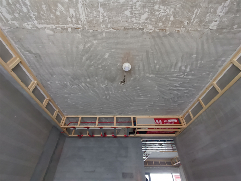 IMG_20241207_095315.jpg
