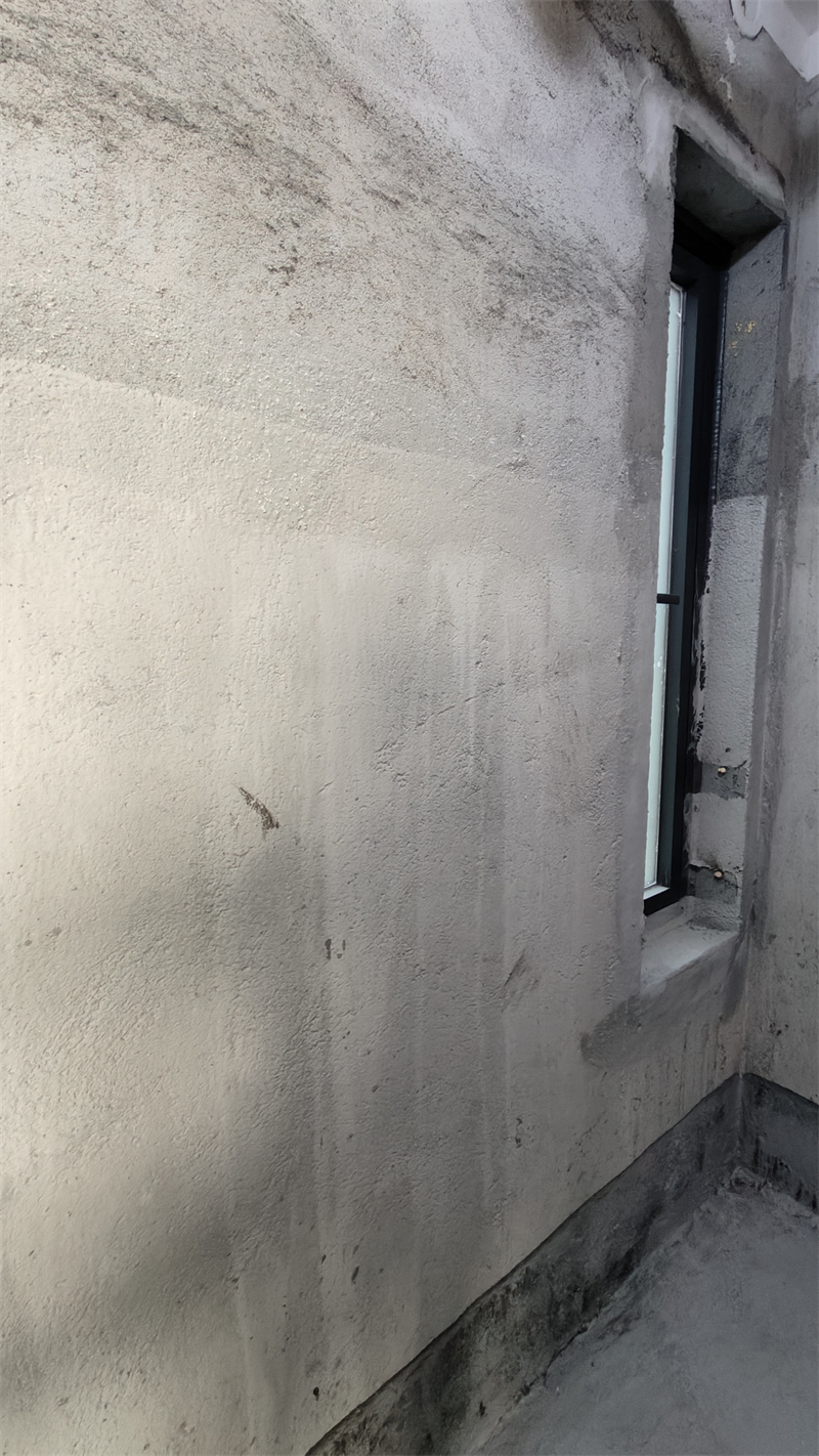 IMG20241208095721.jpg
