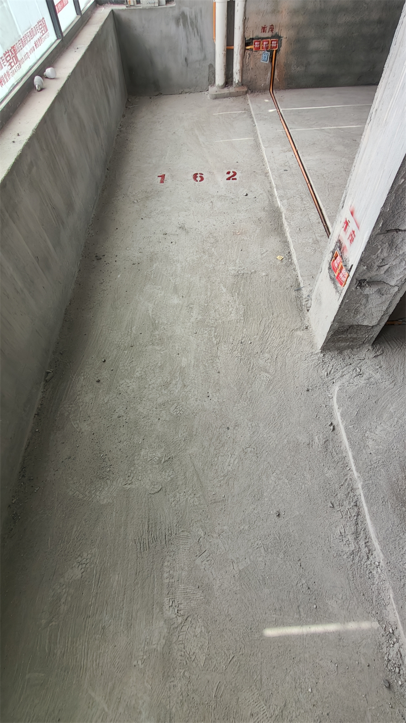 IMG20241208105400.jpg