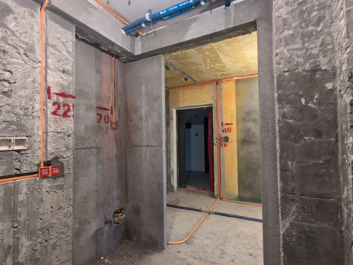 IMG_20241210_083205.jpg
