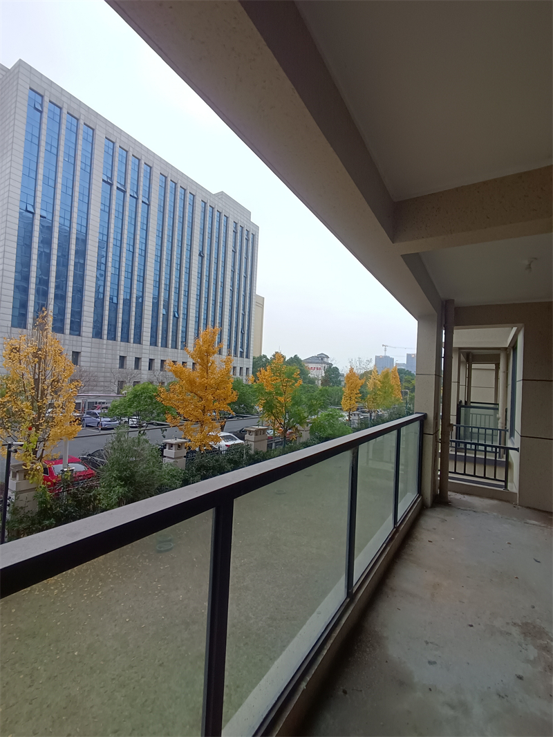 IMG_20241210_100051.jpg