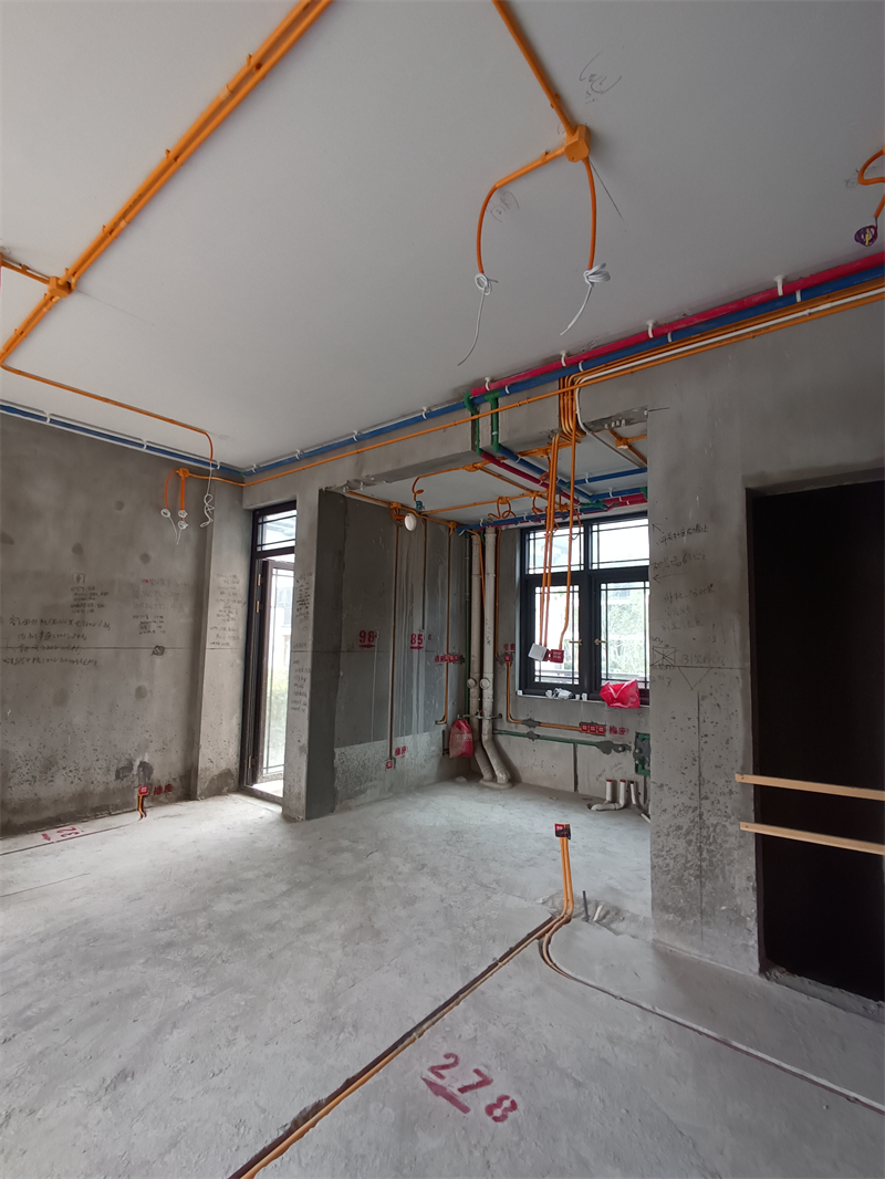 IMG_20241210_122749.jpg