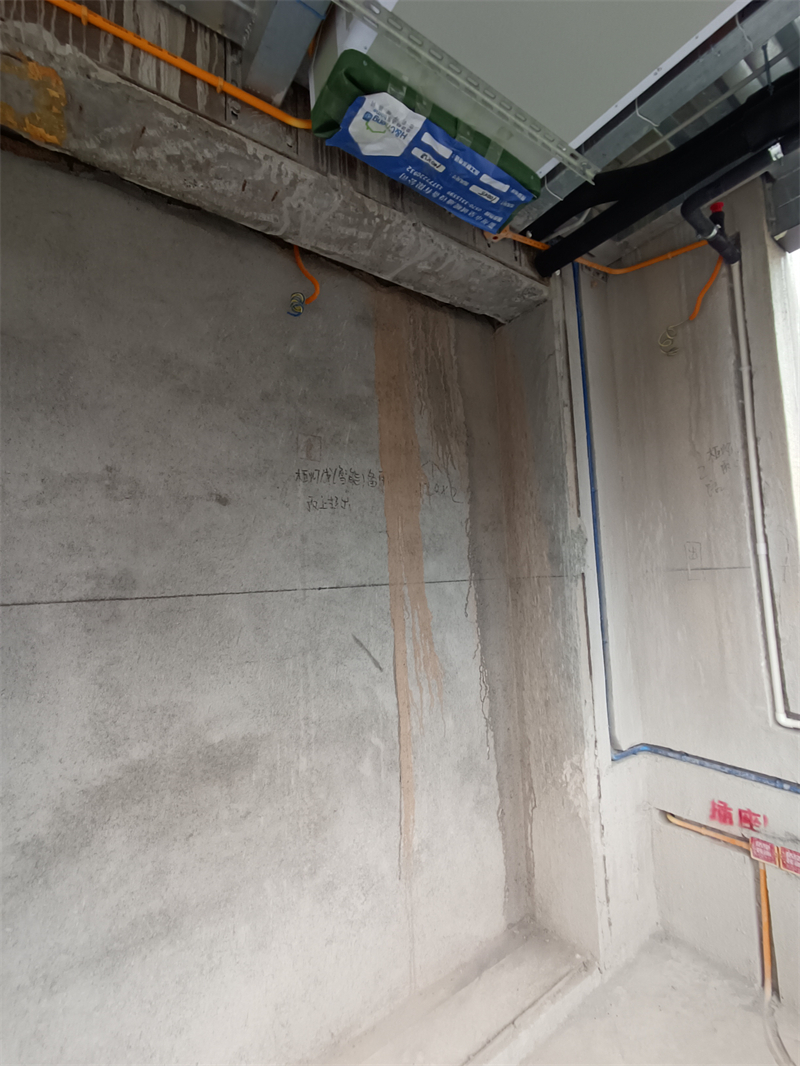 IMG_20241210_124401.jpg