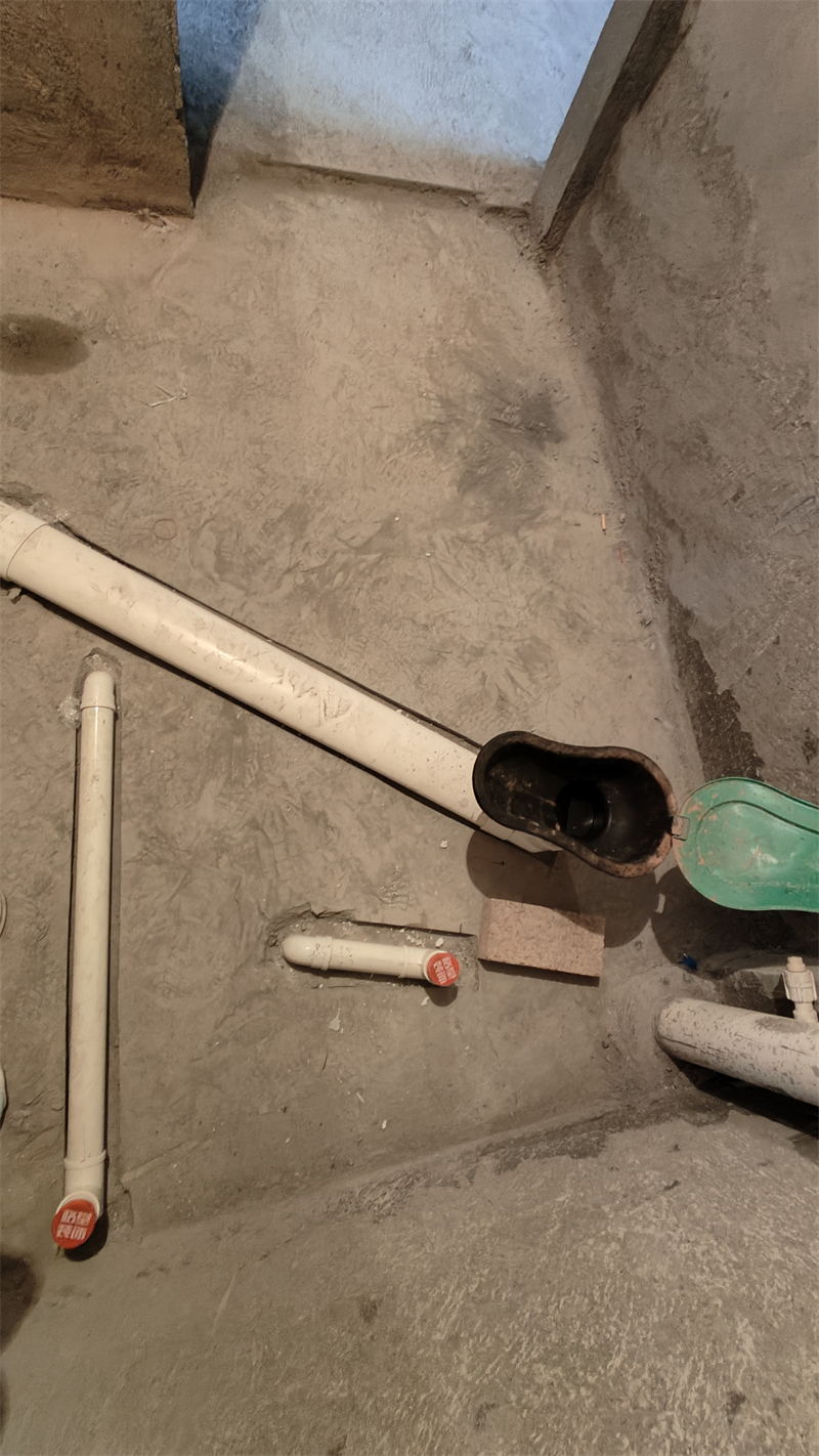 IMG20241210091811.jpg