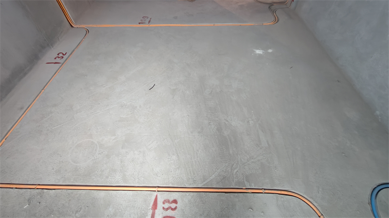 IMG20241210091936.jpg