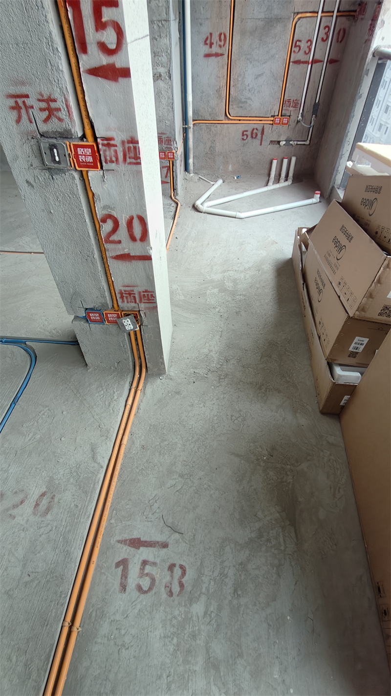 IMG20241210092701.jpg
