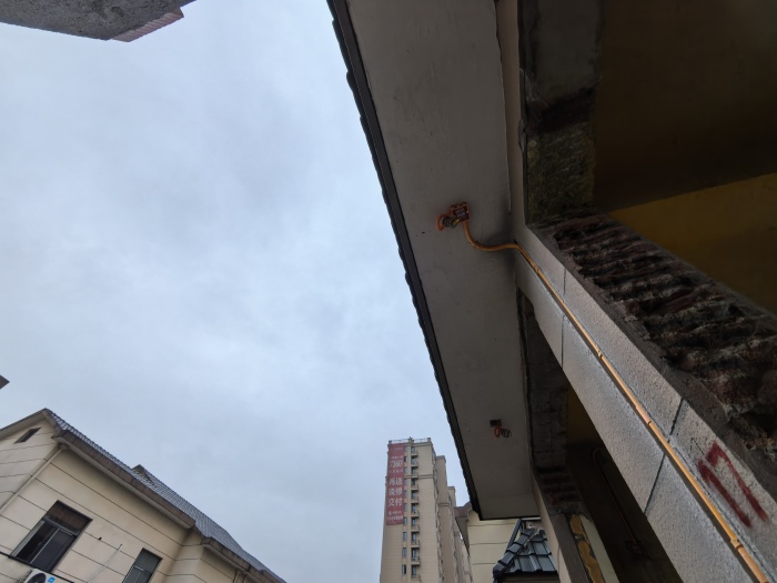 IMG_20241211_085628.jpg