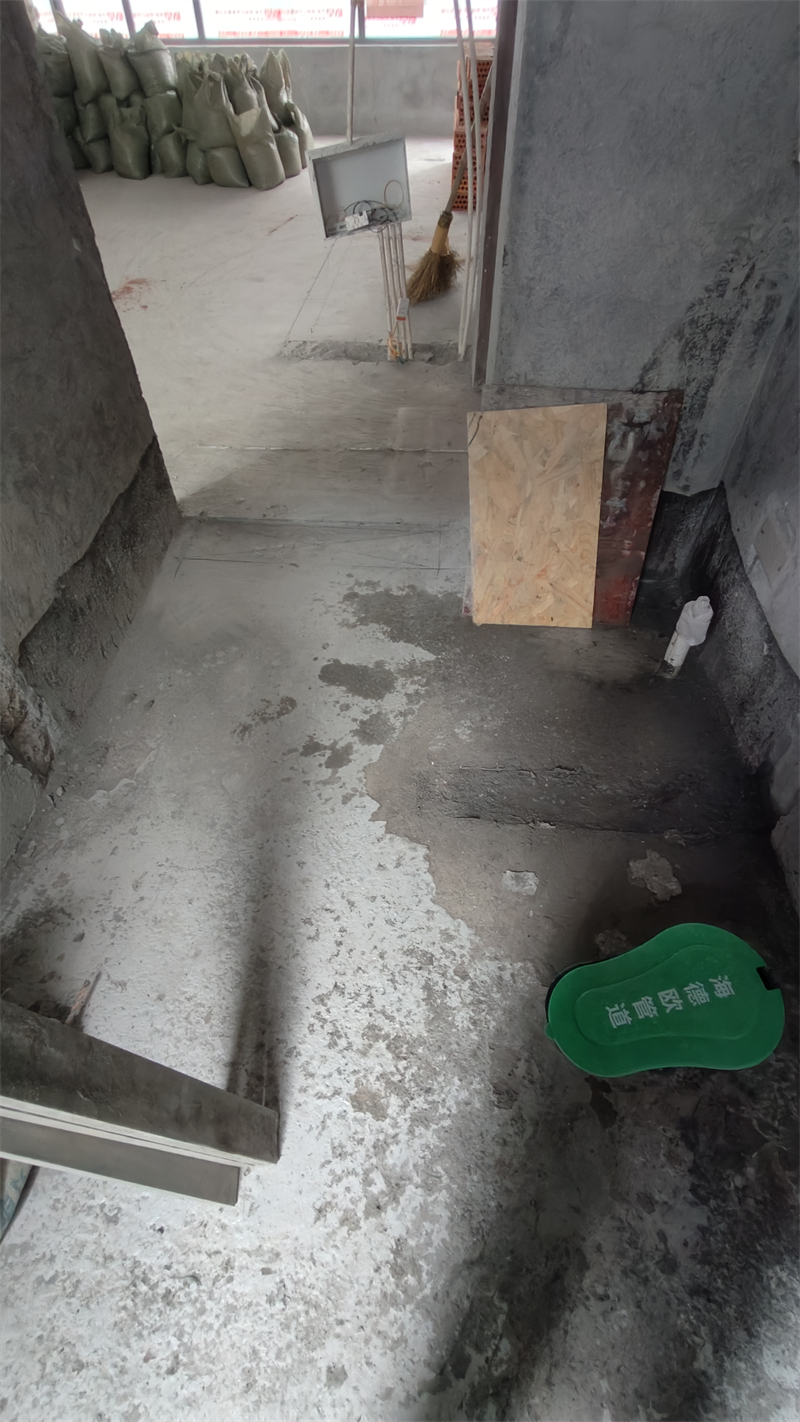 IMG20241210111718.jpg