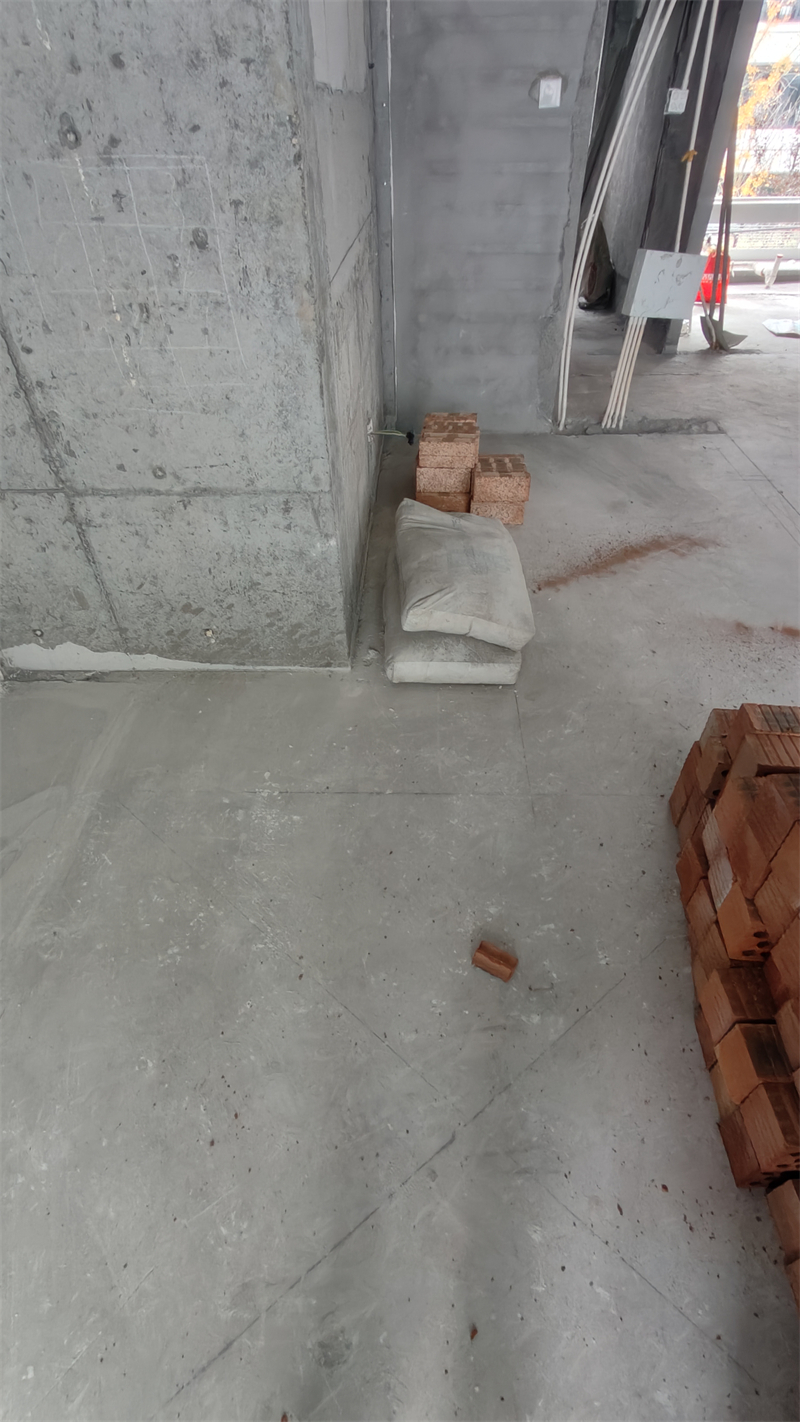 IMG20241210111935.jpg