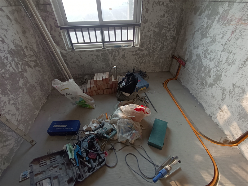 IMG_20241212_082755.jpg