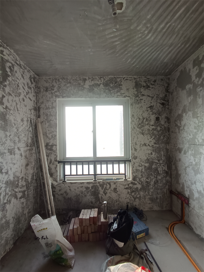 IMG_20241212_082759.jpg