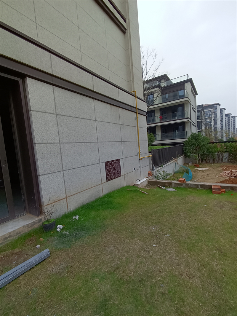 IMG_20241212_111701.jpg