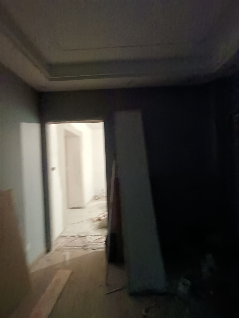 IMG_20241212_121628.jpg