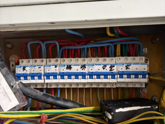 mmexport1733481352199.jpg