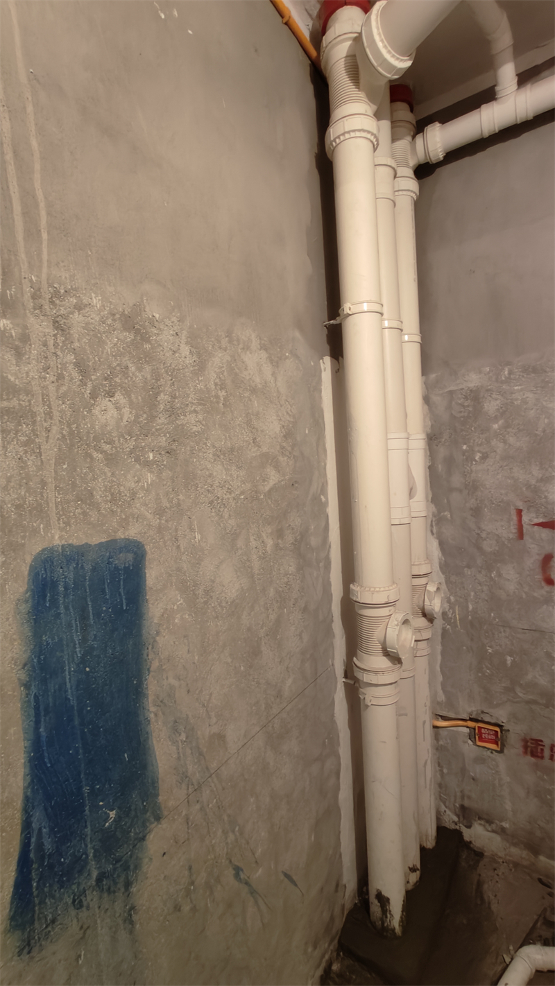 IMG20241211170414.jpg