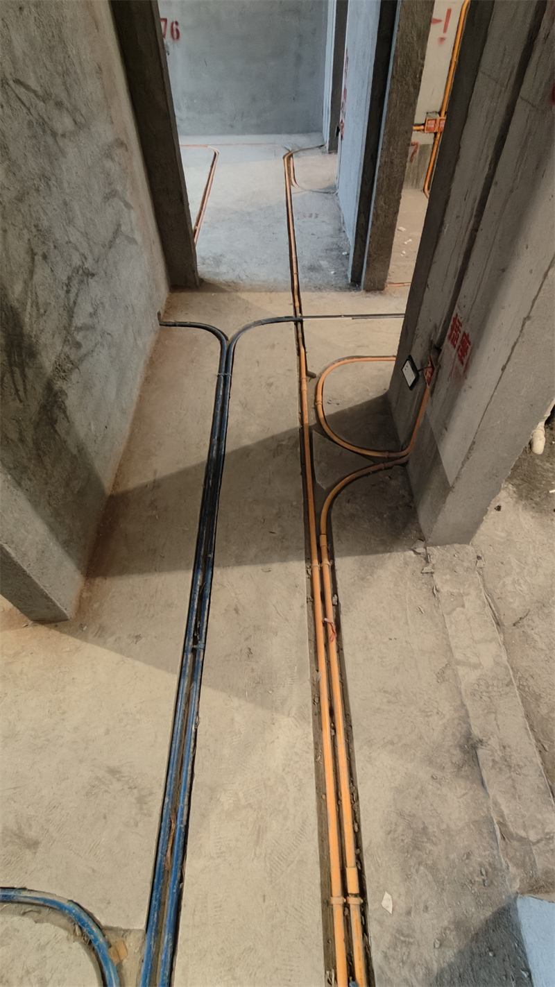 IMG20241213084443.jpg