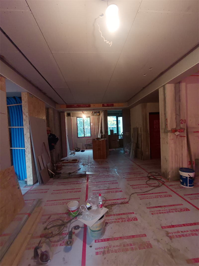IMG_20241213_131230.jpg
