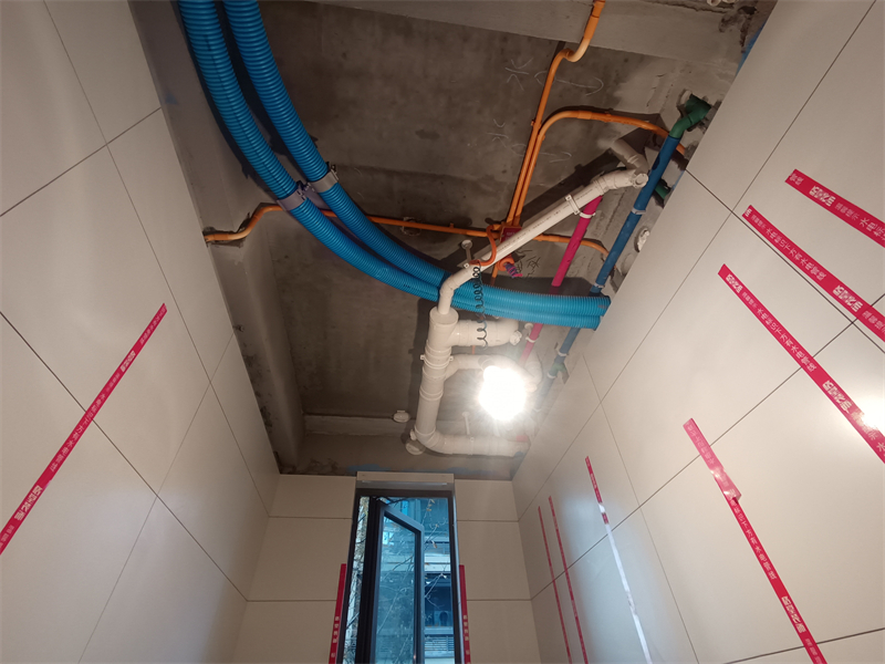 IMG_20241213_131424.jpg