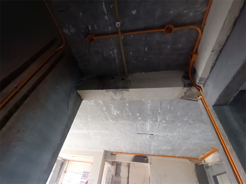 IMG_20241213_134451.jpg