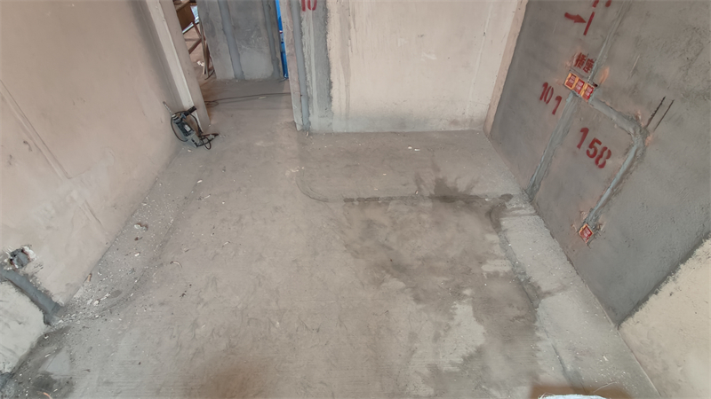 IMG20241212131910.jpg
