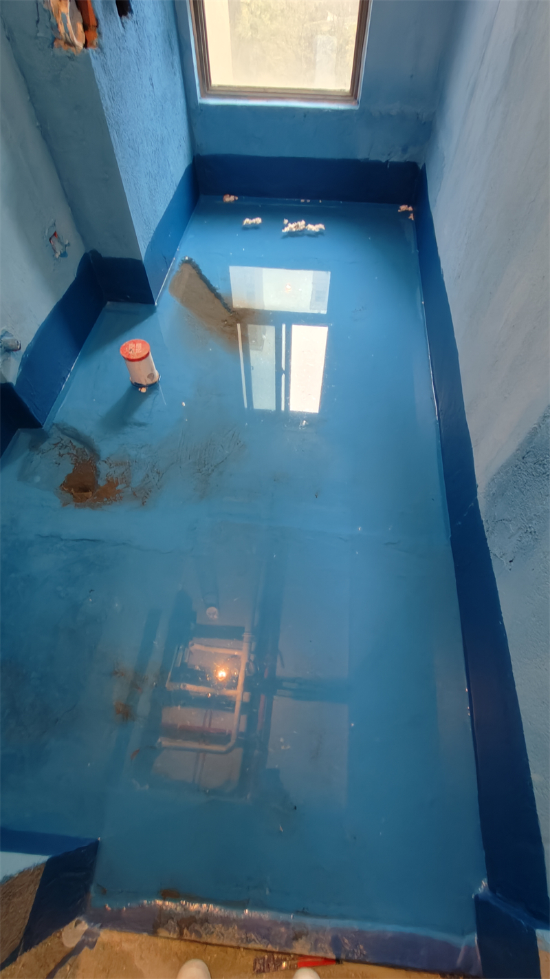 IMG20241212132016.jpg