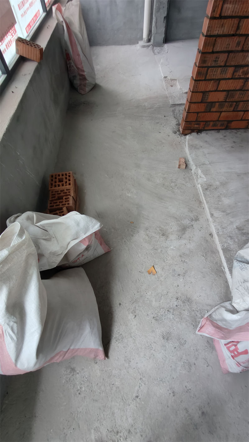 IMG20241212140741.jpg