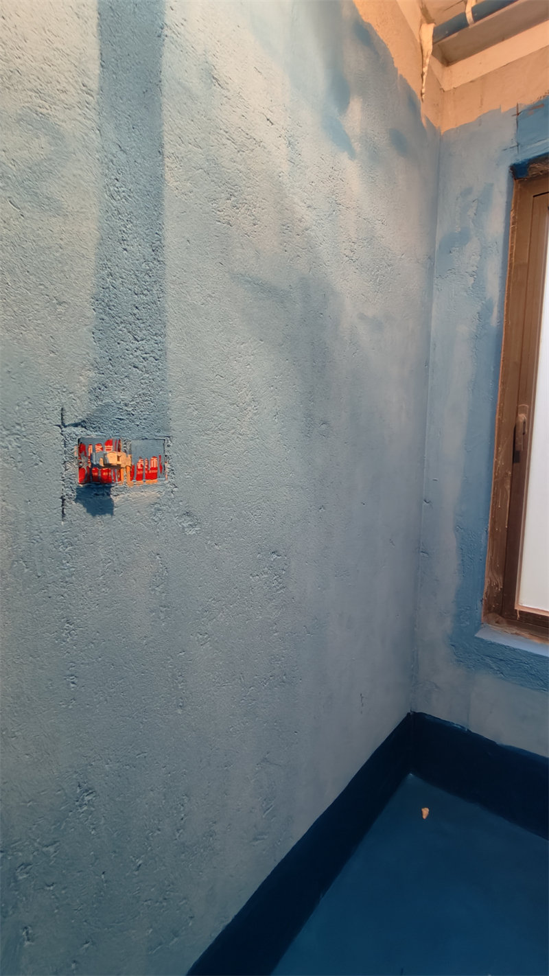 IMG20241212161526.jpg