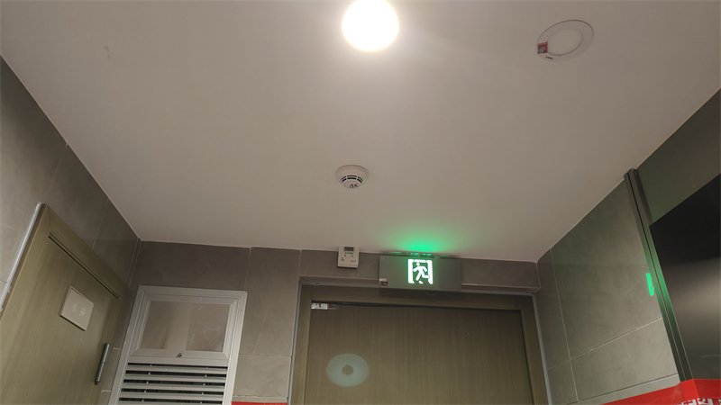 IMG20241213093139.jpg
