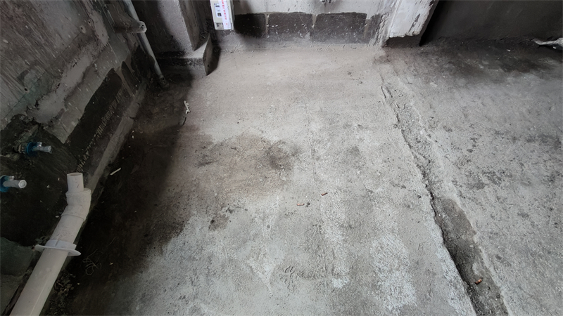 IMG20241213094156.jpg