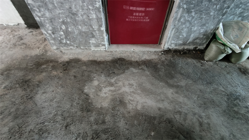 IMG20241213094347.jpg