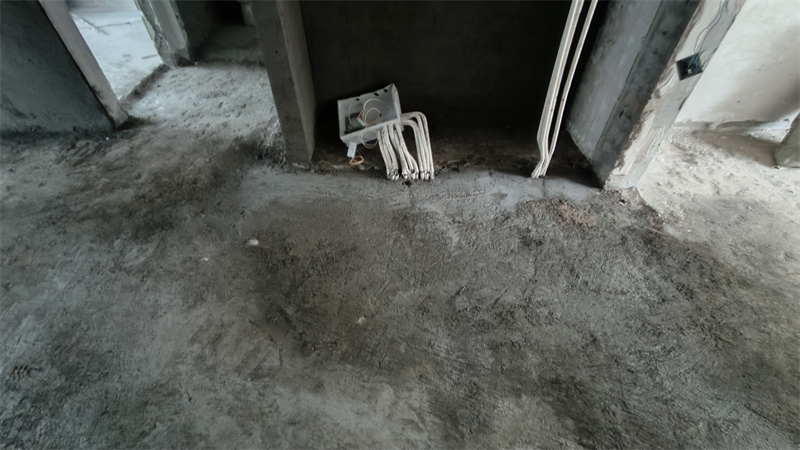 IMG20241213094411.jpg