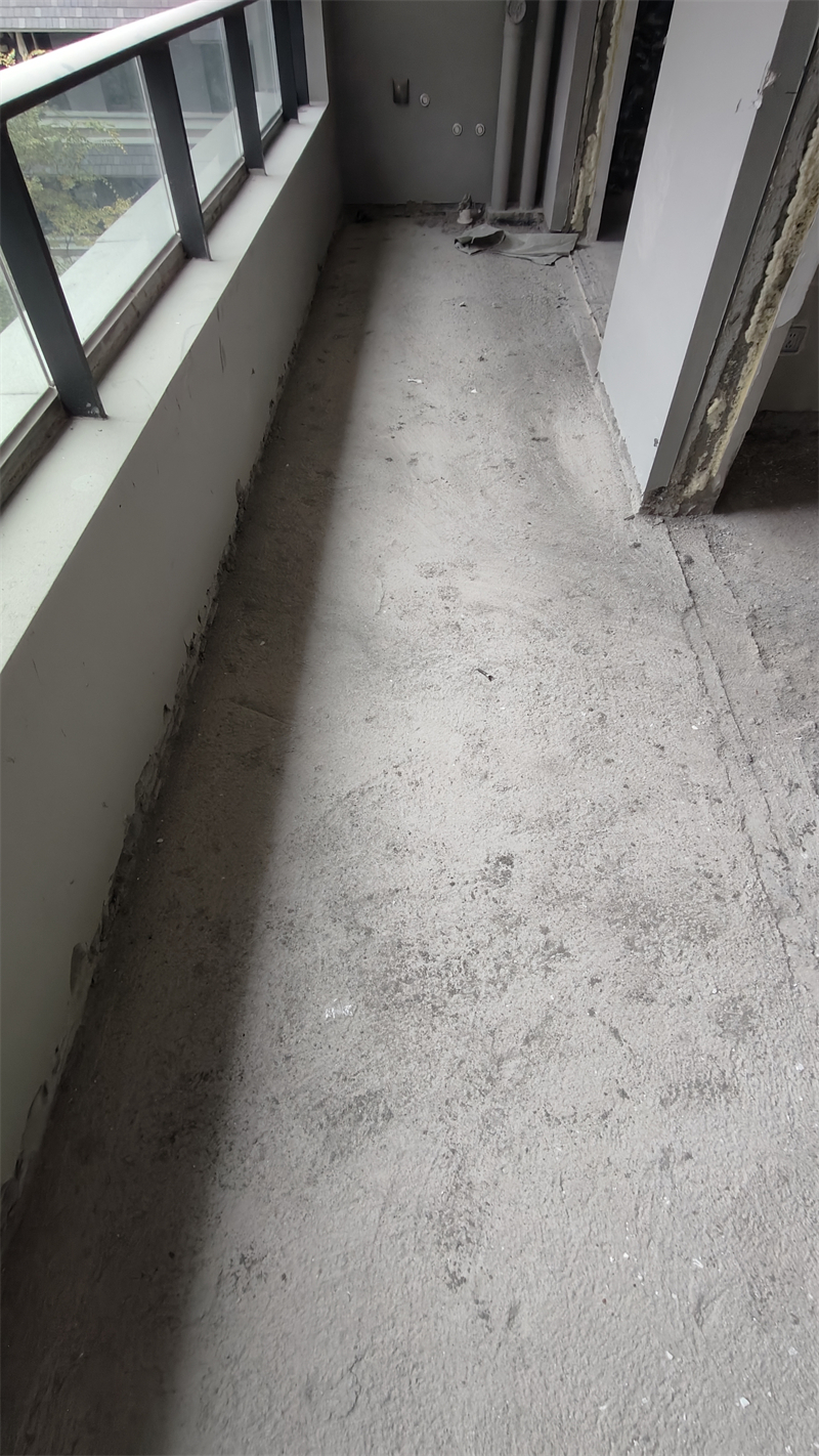 IMG20241213094541.jpg