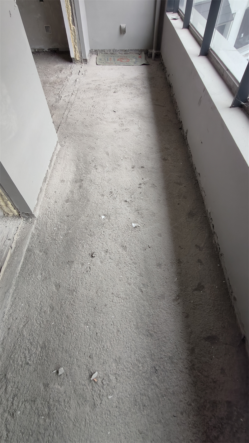 IMG20241213094556.jpg
