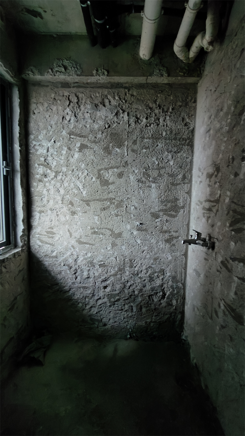 IMG20241213094847.jpg