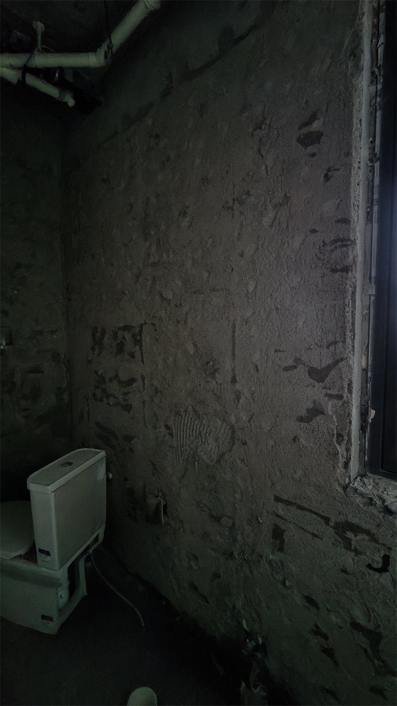 IMG20241213094953.jpg