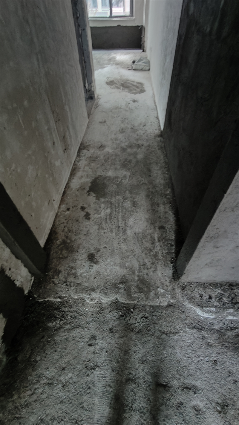 IMG20241213095034.jpg