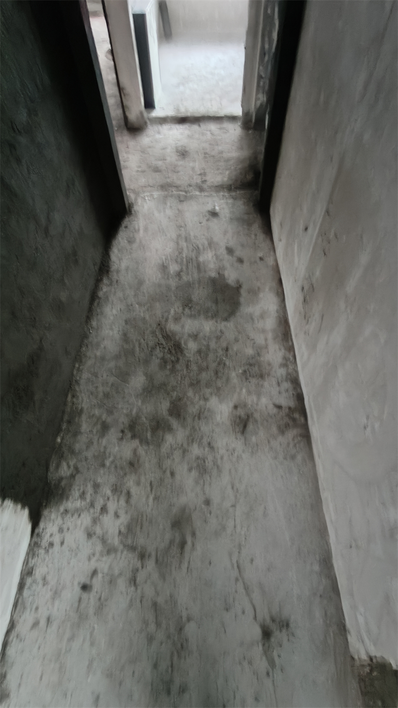 IMG20241213095130.jpg