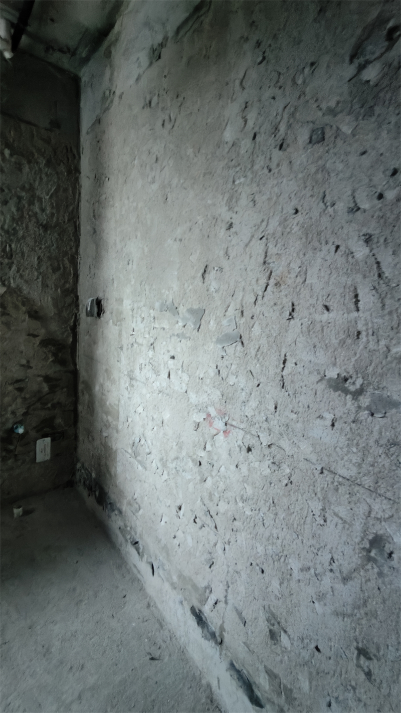 IMG20241213095343.jpg