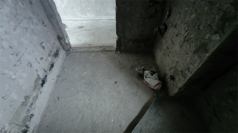 IMG20241213095410.jpg