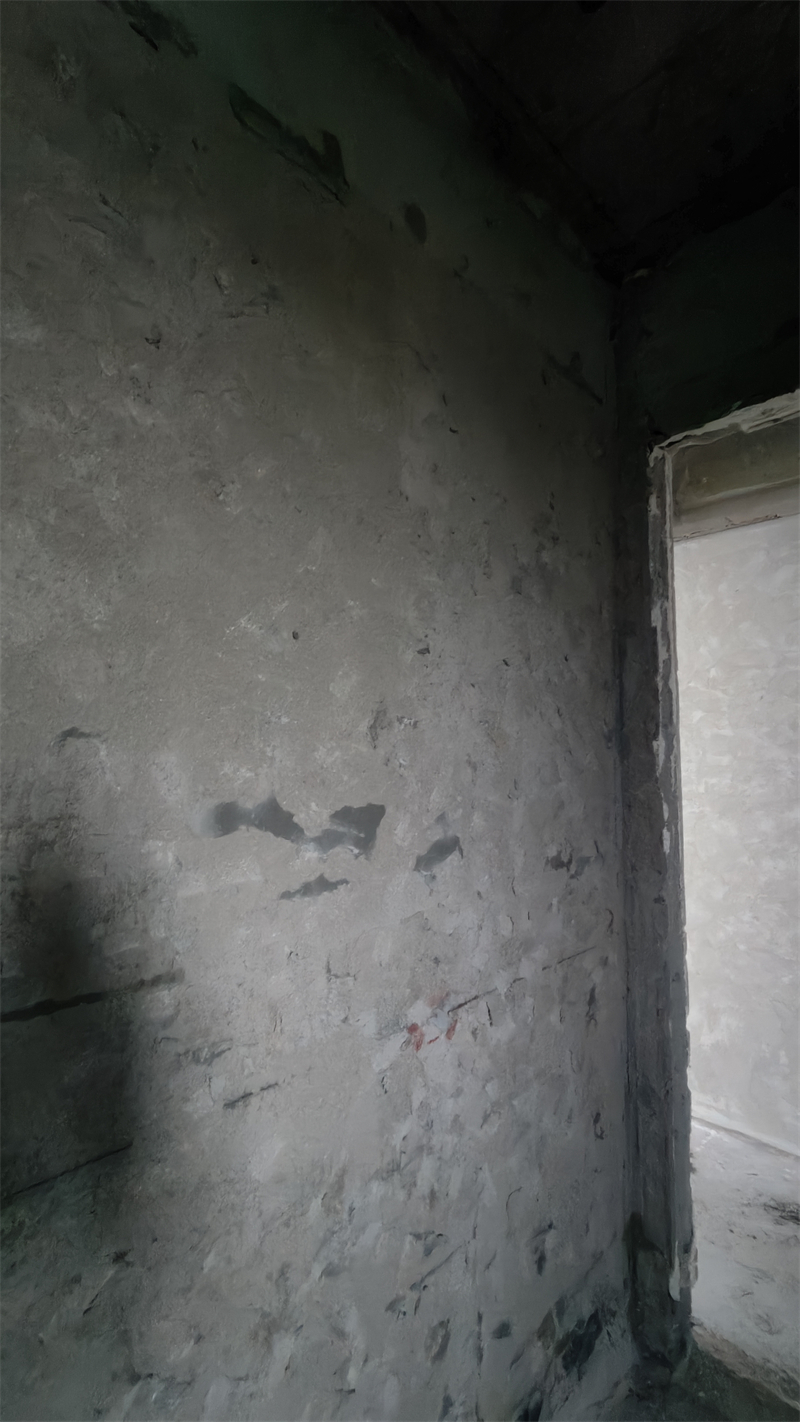 IMG20241213095416.jpg