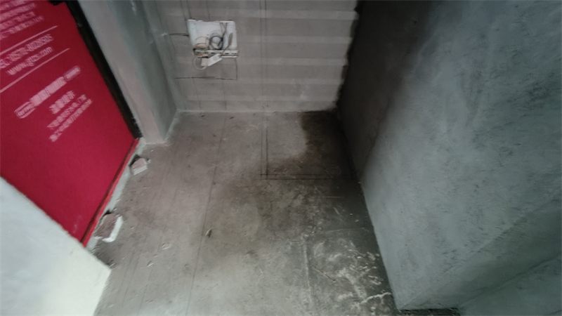 IMG20241214164523.jpg