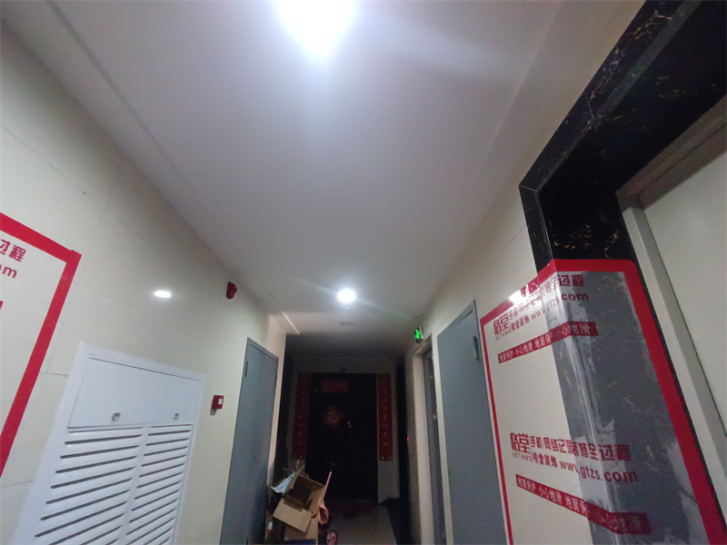 IMG_20241217_122957.jpg