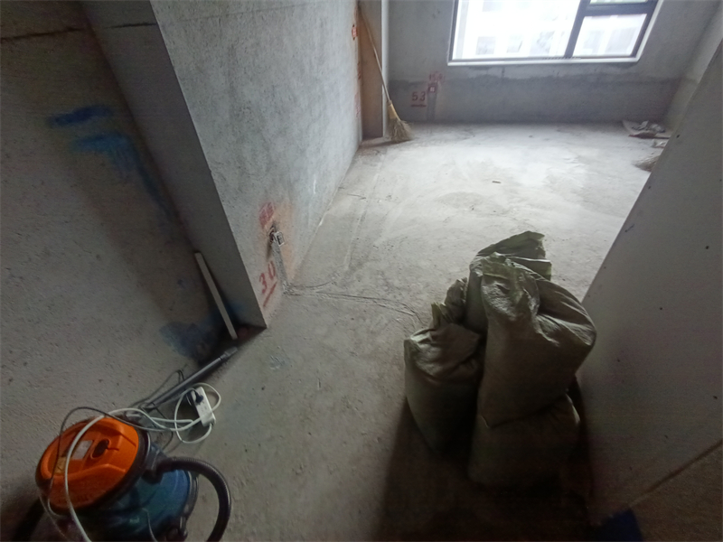 IMG_20241217_115911.jpg
