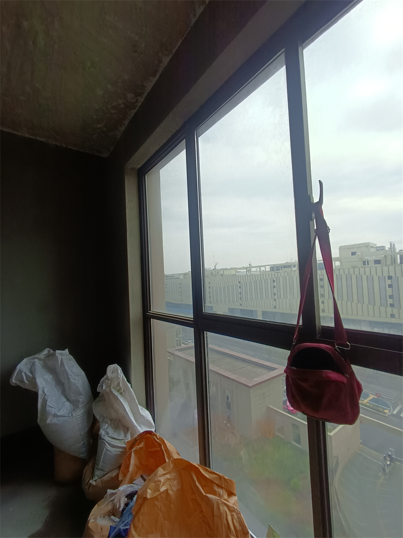 IMG_20241217_123846.jpg